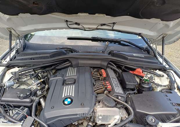 BMW 530 2008 — լուսանկար 11