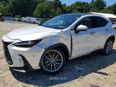 Lexus NX 300h  2024 