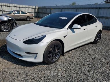 Tesla Model 3  2023 