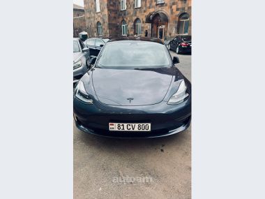 Tesla Model 3  2021 