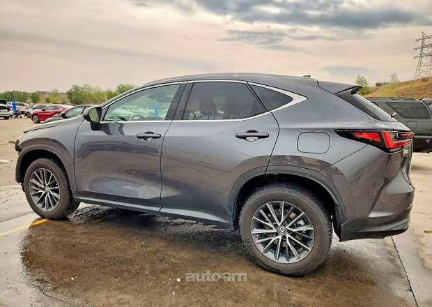 Lexus NX 300h