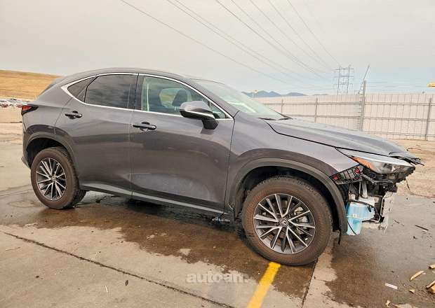 Lexus NX 300h