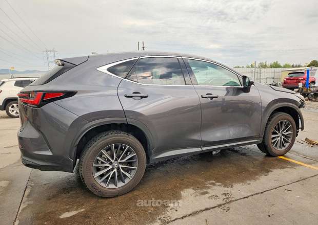 Lexus NX 300h
