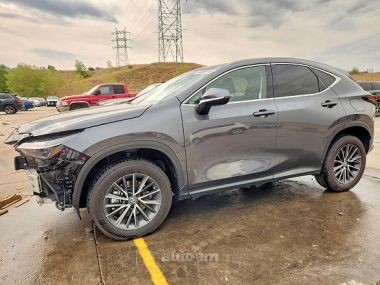 Lexus NX 300h  2022 
