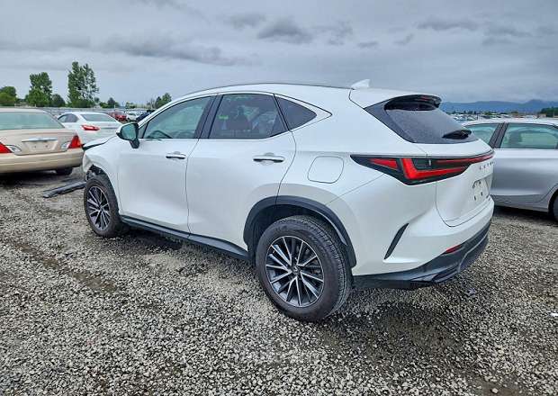 Lexus NX 300h