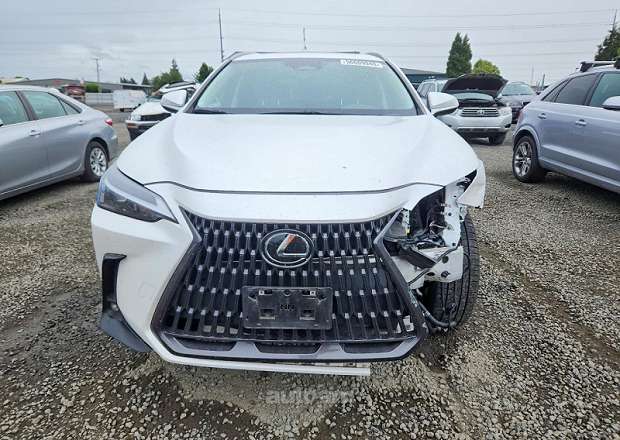 Lexus NX 300h