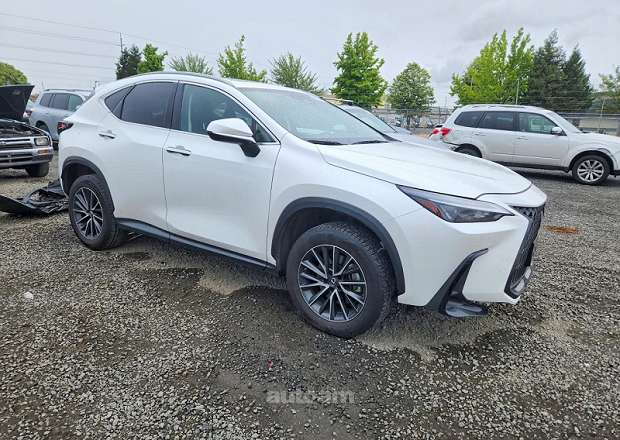 Lexus NX 300h