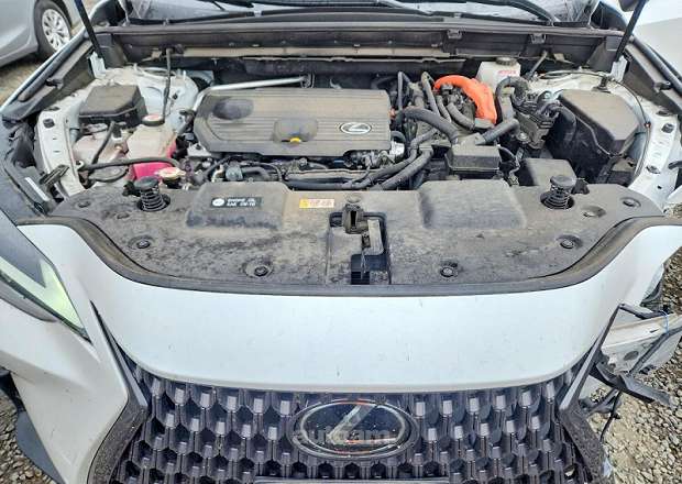 Lexus NX 300h