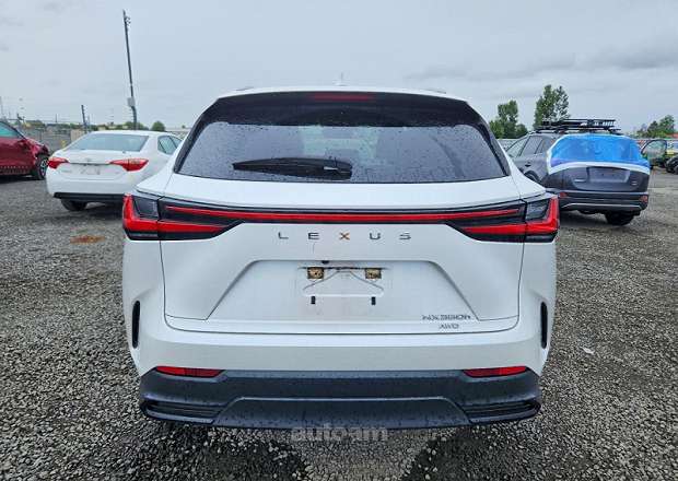 Lexus NX 300h