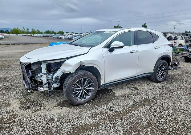 Lexus NX 300h