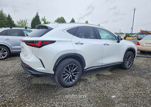 Lexus NX 300h