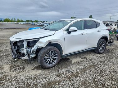 Lexus NX 300h  2022 