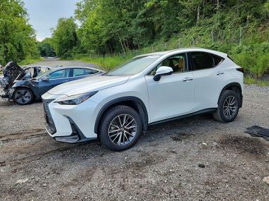 Lexus NX 350  2024 