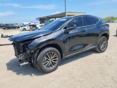 Lexus NX 350  2025 
