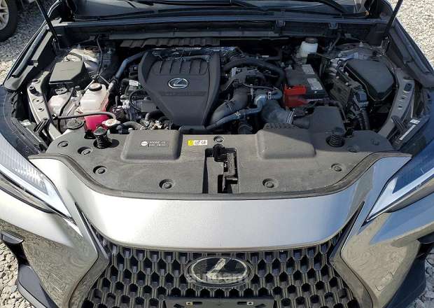 Lexus NX Turbo