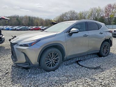 Lexus NX Turbo  2024 