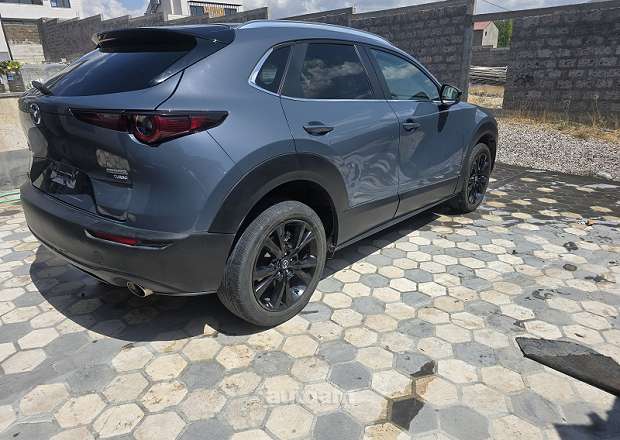 Mazda CX 30 2021 — լուսանկար 6