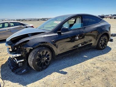 Tesla Model Y  2024 