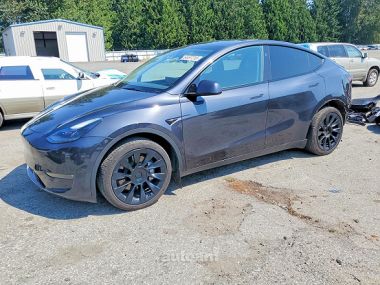 Tesla Model Y  2024 
