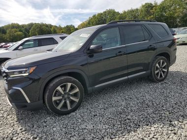 Honda Pilot  2024 