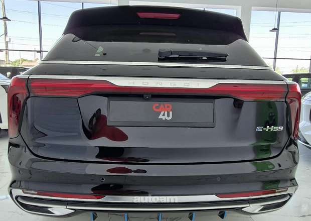 Hongqi E-HS9