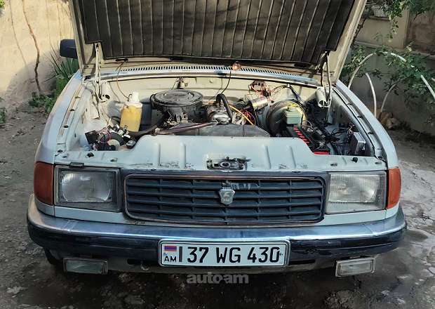 GAZ 31029 1996 — լուսանկար 6