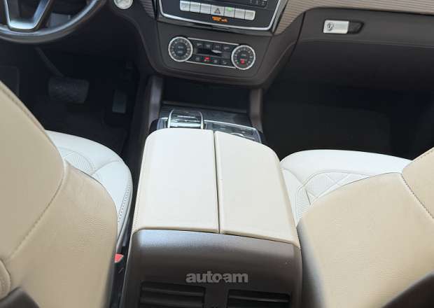 Mercedes-Benz GLS 450 2019 — լուսանկար 10