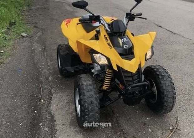 BRP Can-am DS 2011 — լուսանկար 1
