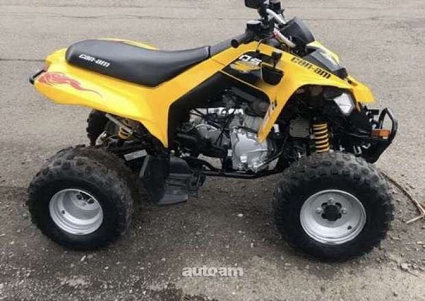 BRP Can-am DS 2011 — լուսանկար 2