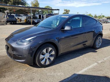 Tesla Model Y  2024 
