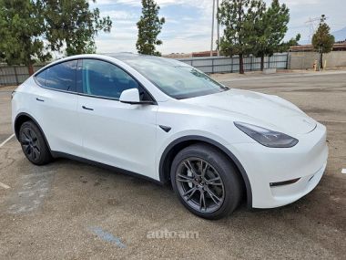 Tesla Model Y  2024 