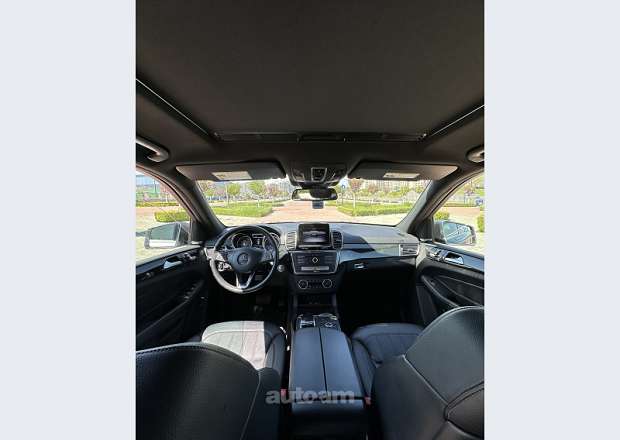 Mercedes-Benz GLS 450 2019 — լուսանկար 10