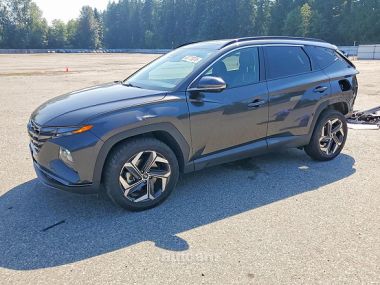 Hyundai Tucson  2023 