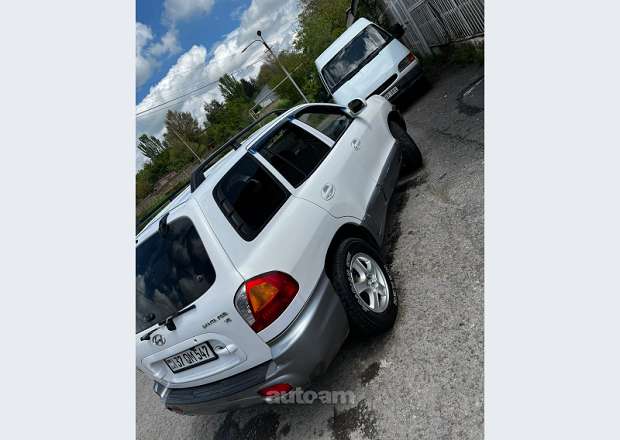 Hyundai Santa Fe 2003 — լուսանկար 2