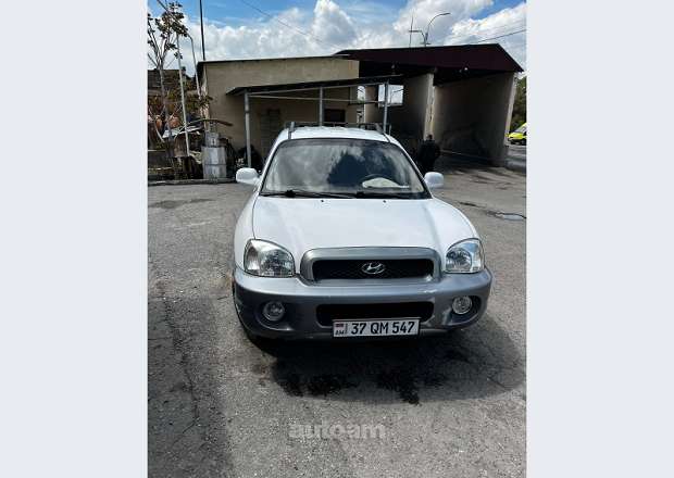 Hyundai Santa Fe 2003 — լուսանկար 1