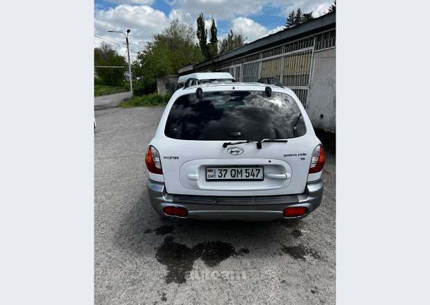 Hyundai Santa Fe 2003 — լուսանկար 4