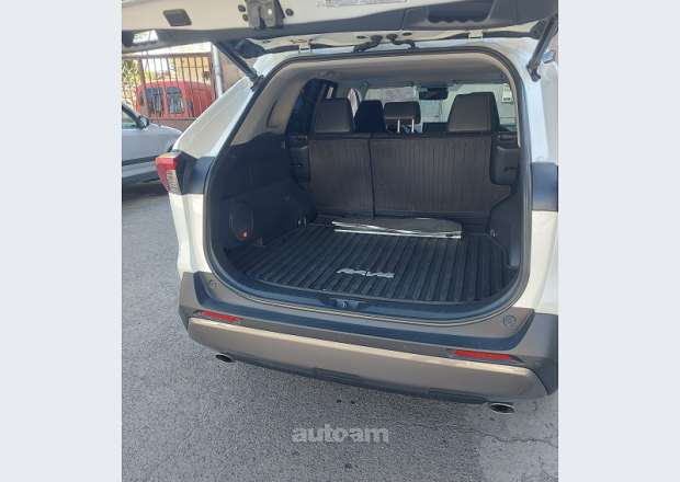 Toyota Rav 4 2020 — լուսանկար 7