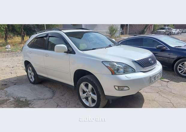 Lexus RX 330 2003 — լուսանկար 2