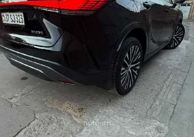 Lexus RX 350 2024 — լուսանկար 9