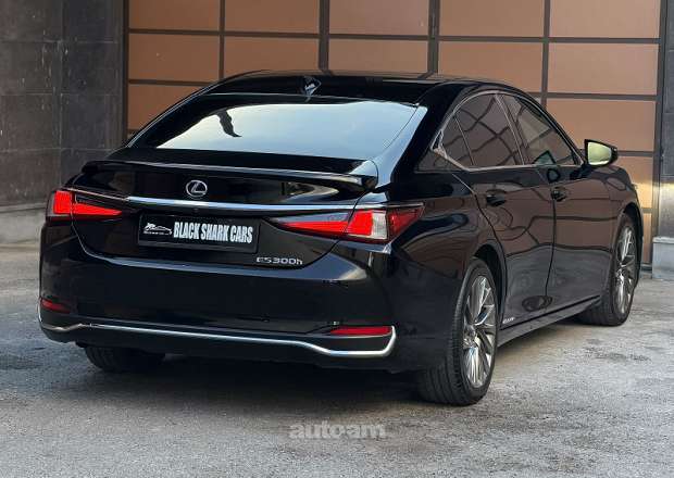 Lexus ES 300h 2020 — photo 6