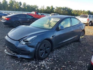 Tesla Model 3  2021 