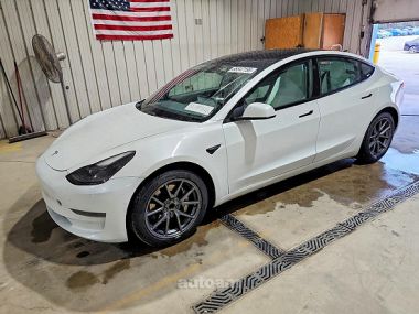 Tesla Model 3  2020 