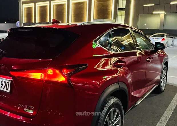 Lexus NX 200 2020 — լուսանկար 8