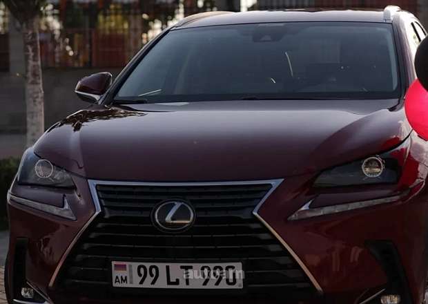 Lexus NX 200 2020 — լուսանկար 2