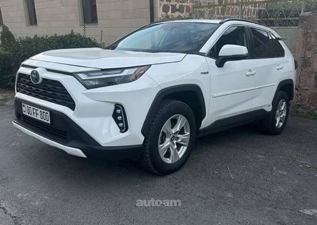 Toyota Rav 4 2020 — լուսանկար 2