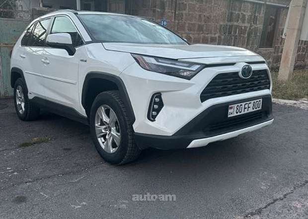 Toyota Rav 4 2020 — լուսանկար 1