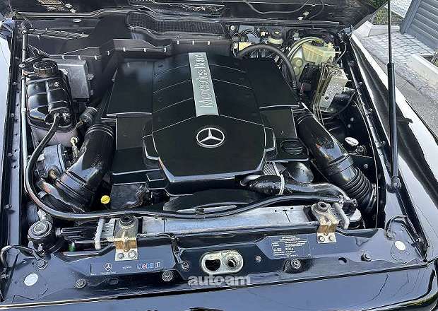 Mercedes-Benz G 500 2004 — լուսանկար 11
