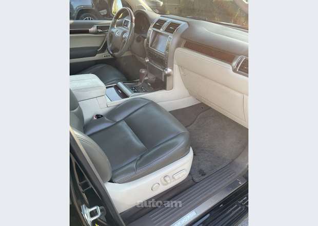 Lexus GX 460 2010 — լուսանկար 13