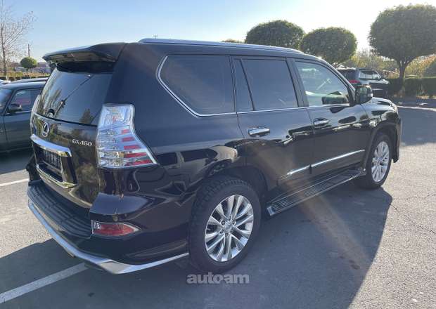 Lexus GX 460 2010 — լուսանկար 10
