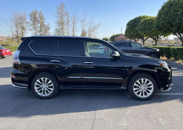 Lexus GX 460 2010 — լուսանկար 9